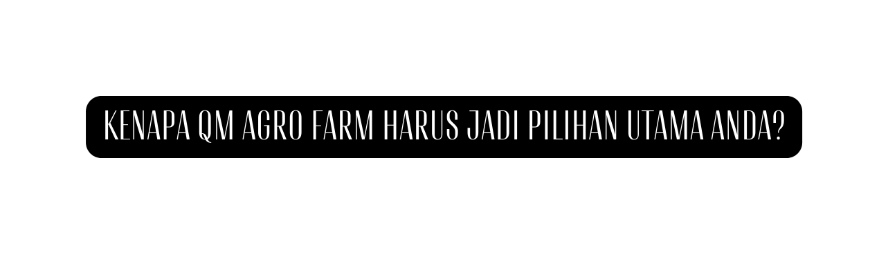 kenapa QM AGRO FARM harus jadi pilihan utama ANDA